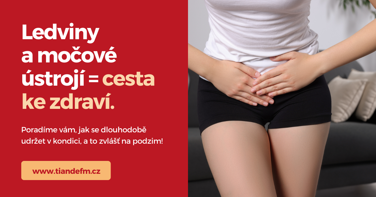 ledviny a močové ústrojí